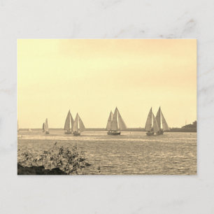 Sailboats in Sepia Postcard