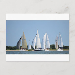 Sailboats on 4th of July Postcard