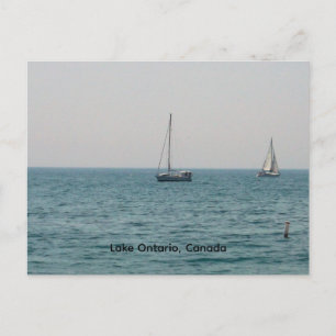 Sailboats on Lake Ontario  Postcard