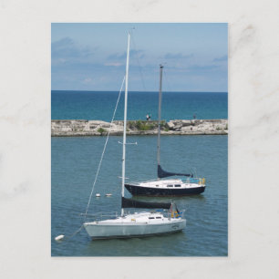 Sailboats on Lake Ontario Postcard