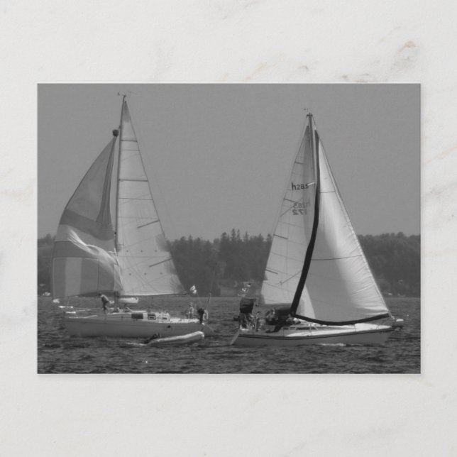 Sailboats Postcard (Front)