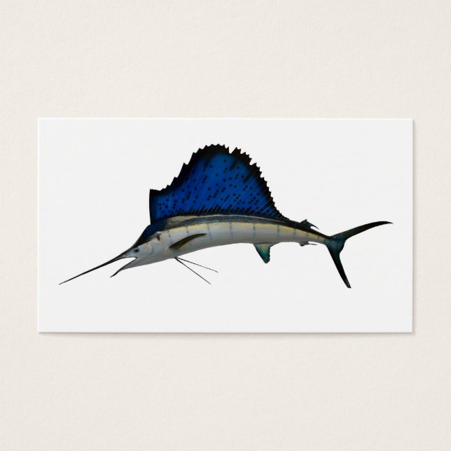 Sailfish (Front)