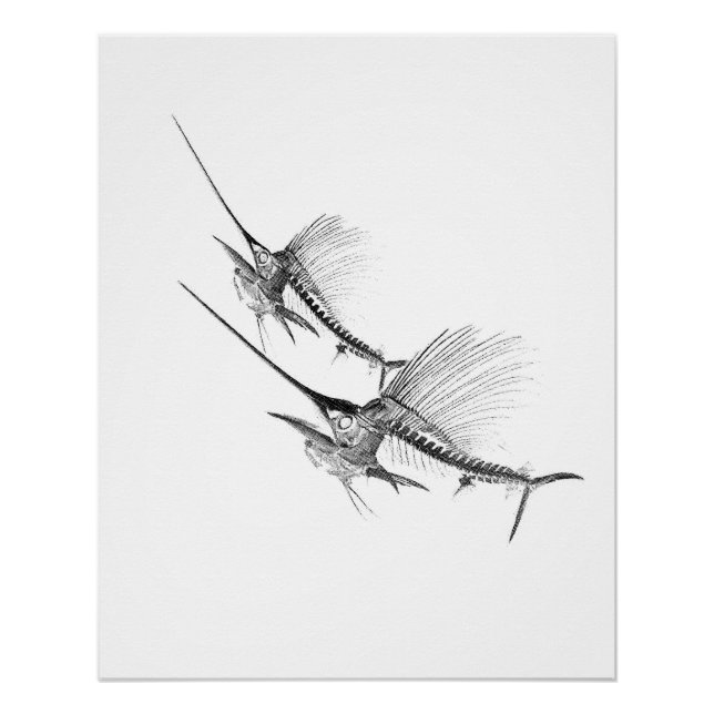 Sailfish Skeleton Fisherman Poster (Front)