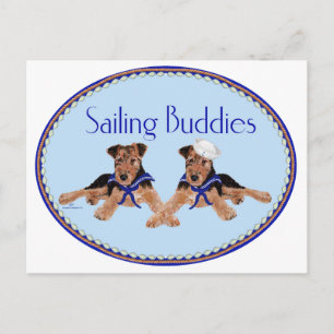 Sailing Buddies Postcard