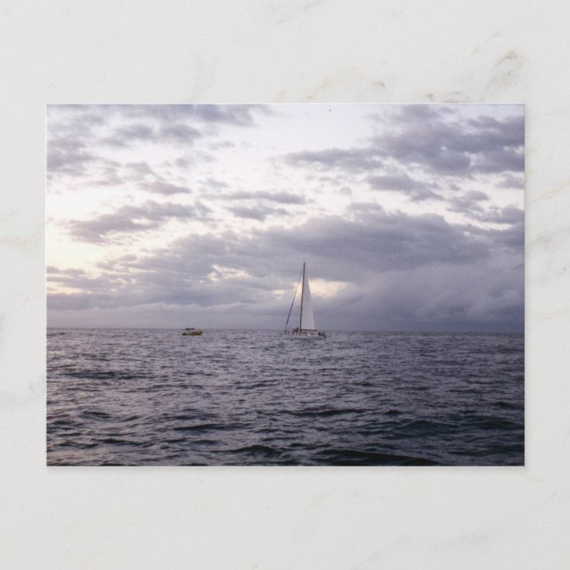 Sailing in Hawaii II Postcard (Front)