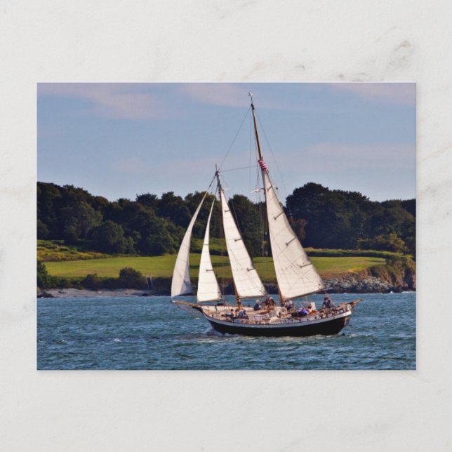 Sailing In Newport, Rhode Island, USA Postcard (Front)