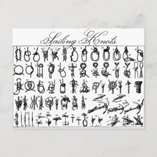 Sailing Knots Postcard