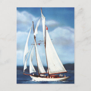 Sailing Postcard