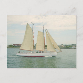 Sailing Sailboats Postcard