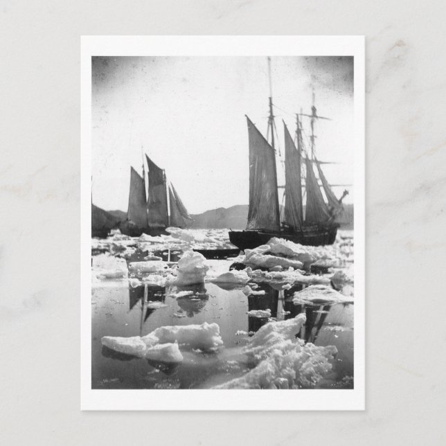 Sailing Ships in an Ice Field - 1869 Photo Postcard (Front)