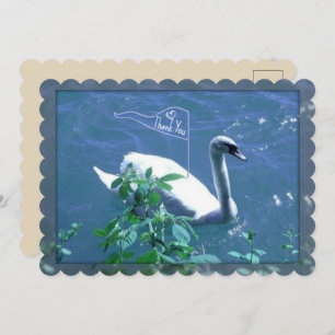 Sailing Swan Thank You Card