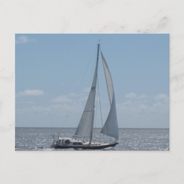 Sailing the Caribbean Postcard (Front)