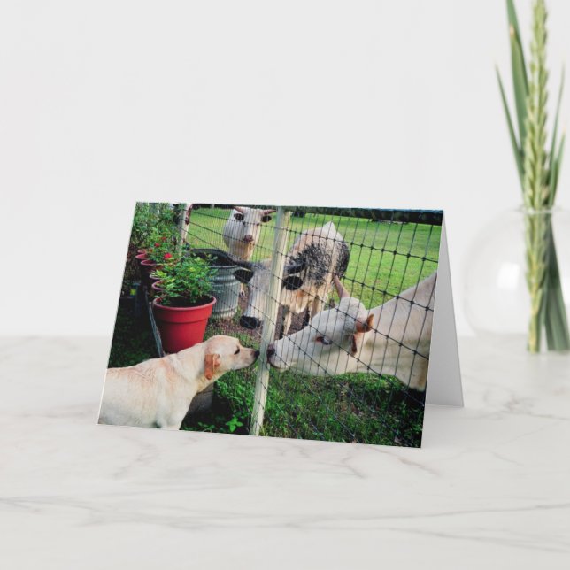 Sailor & pals card (Front)