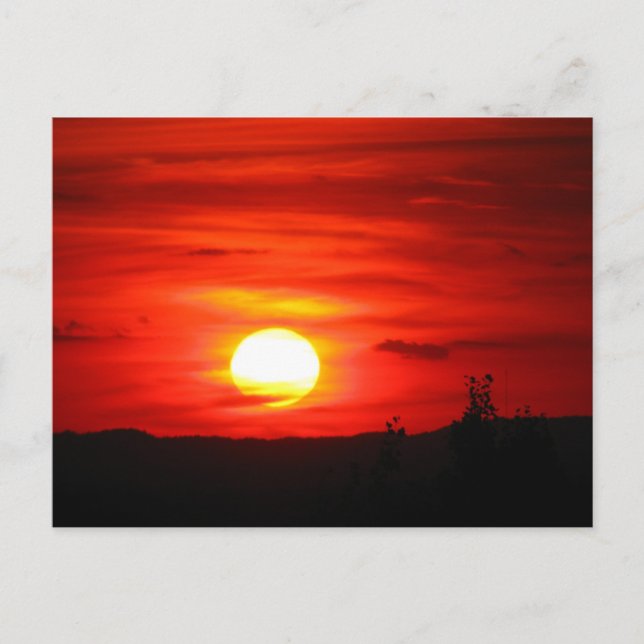 Sailor's Delight Postcard (Front)
