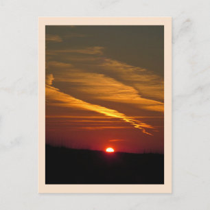 Sailor's Delight Postcard