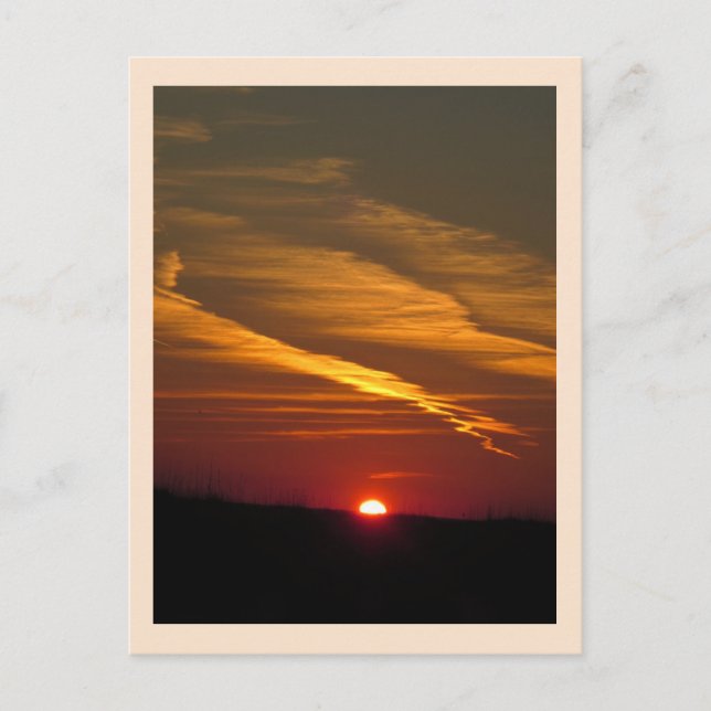 Sailor's Delight Postcard (Front)