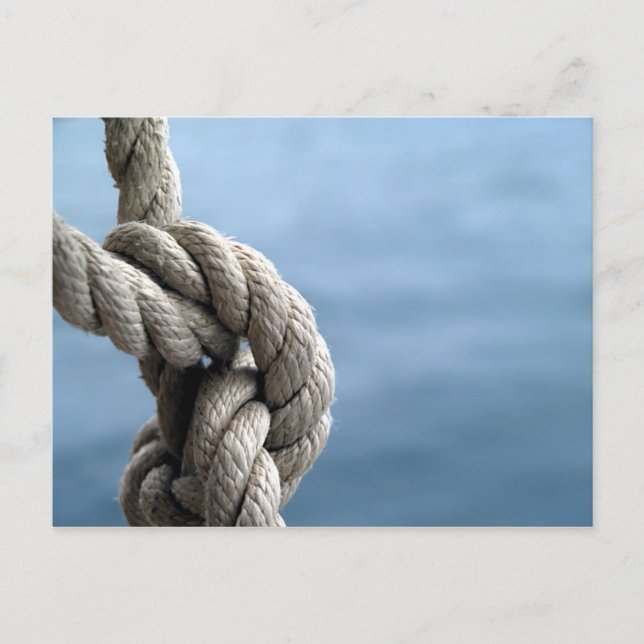 Sailor'S Knot Postcard (Front)