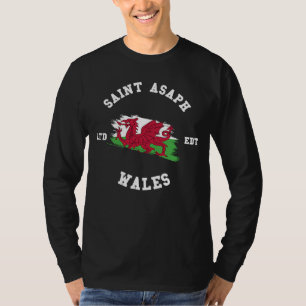 SAINT ASAPH Wales Vintage Flag Badge T-Shirt