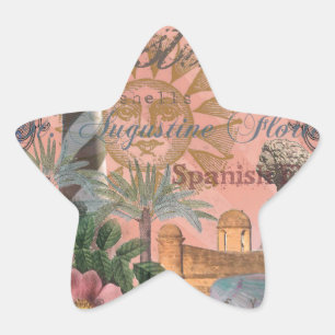 saint augustine florida travel antique art star sticker