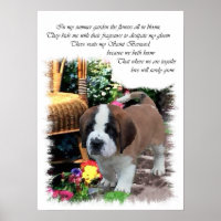 Saint Bernard Art Gifts