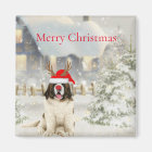 Saint Bernard Christmas Square Magnet