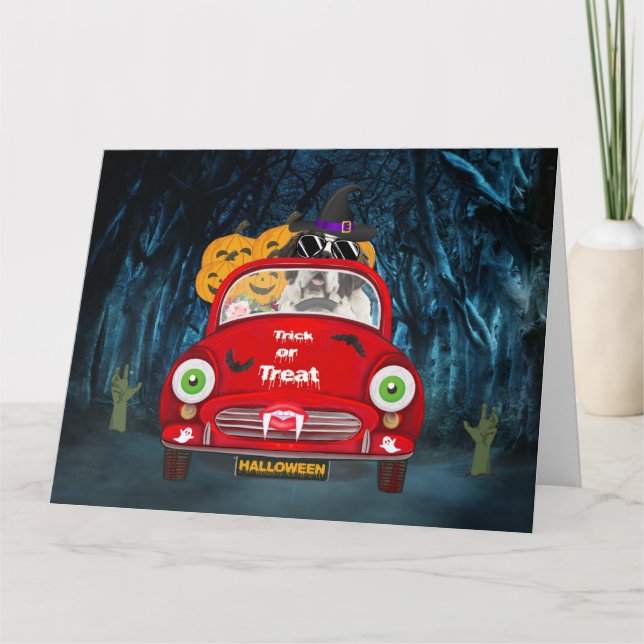 Saint Bernard Dog Driving Car Scary Halloween Card (Front)
