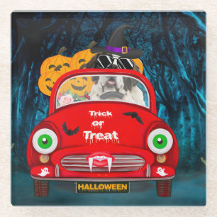 Saint Bernard Dog Driving Car Scary Halloween Glass Coaster