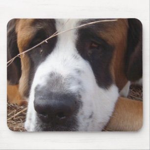 Saint Bernard Dog Mouse Pad
