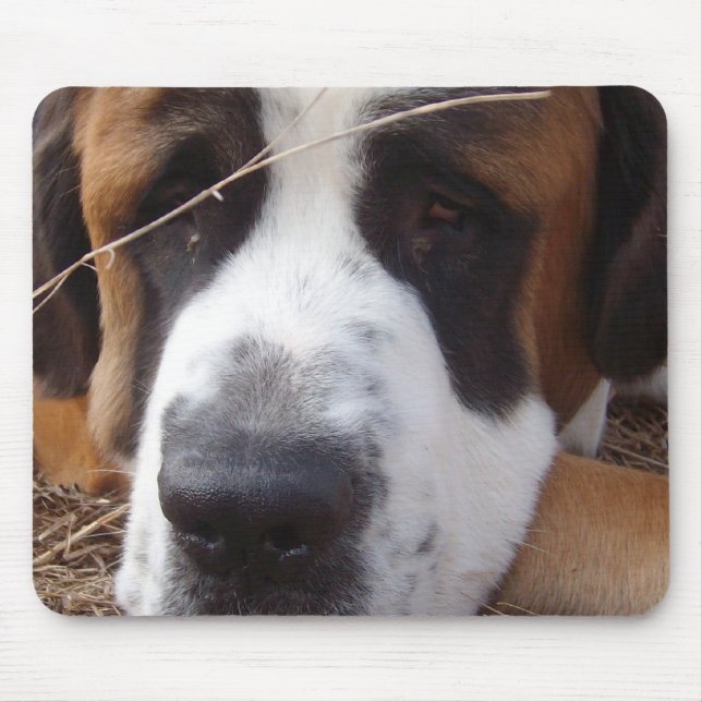Saint Bernard Dog Mouse Pad (Front)