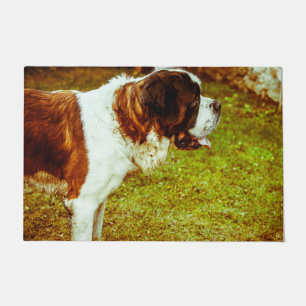 Saint Bernard. Doormat