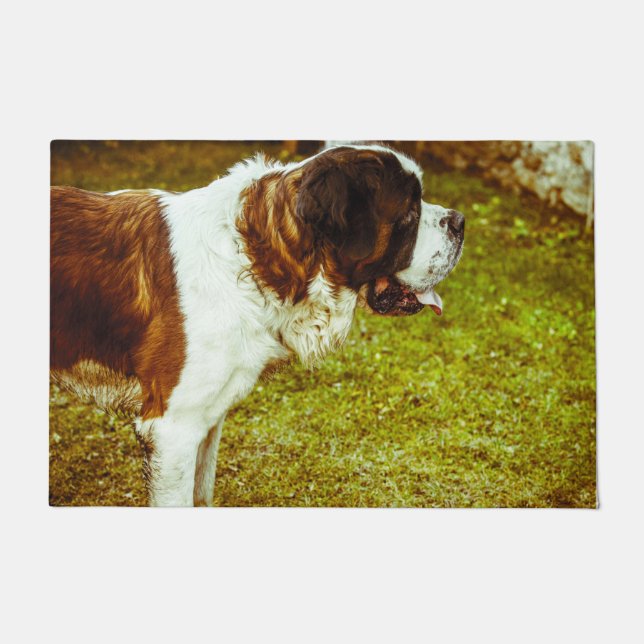 Saint Bernard. Doormat (Front)
