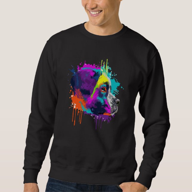Saint Bernard For Dog Colorful Sweatshirt (Front)