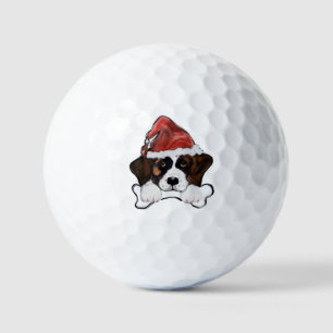 Saint Bernard Golf Balls