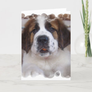 Saint Bernard Greeting Card