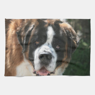 Saint Bernard Kitchen Towel