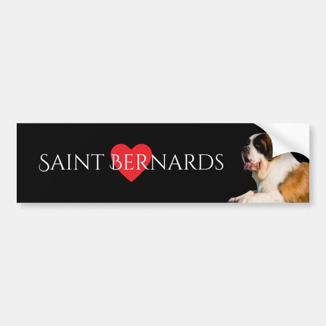 Saint Bernard Lover Bumper Sticker (Front)