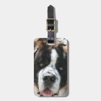 Saint Bernard Luggage Tag