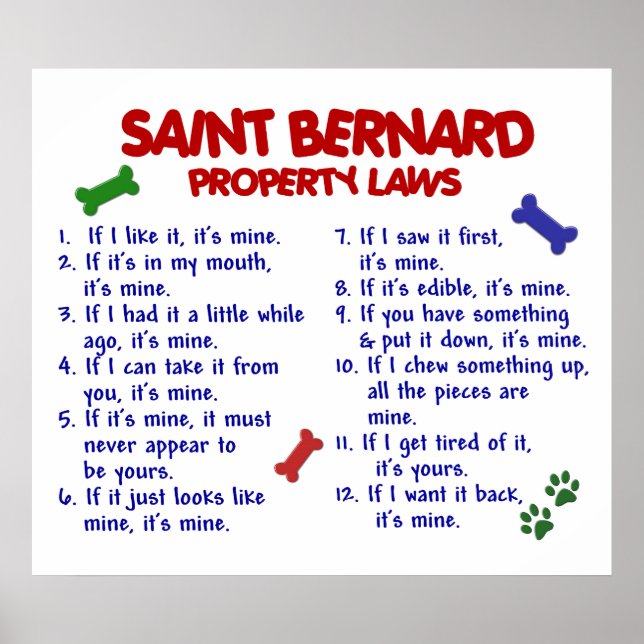 SAINT BERNARD PL2 POSTER (Front)