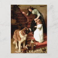saint bernard puppies dog mother girl Elsley