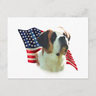Saint Bernard (smooth) Flag Postcard