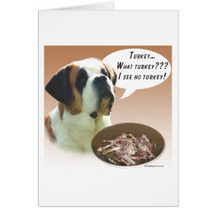 Saint Bernard (smooth) Turkey