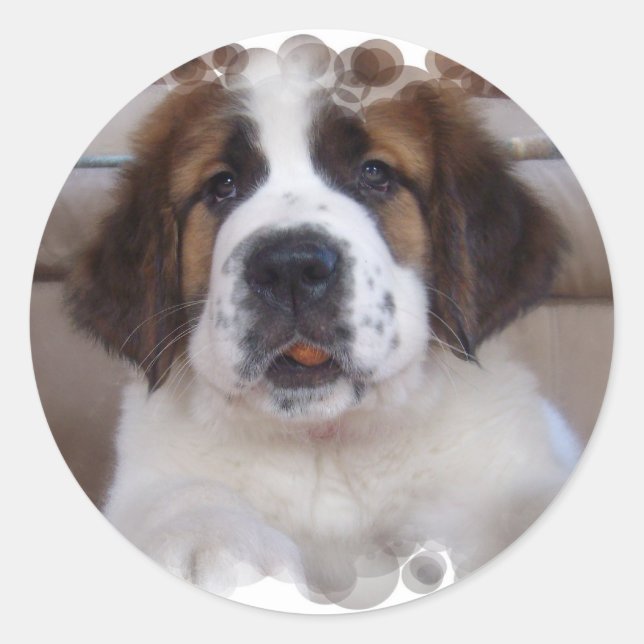 Saint Bernard Sticker (Front)