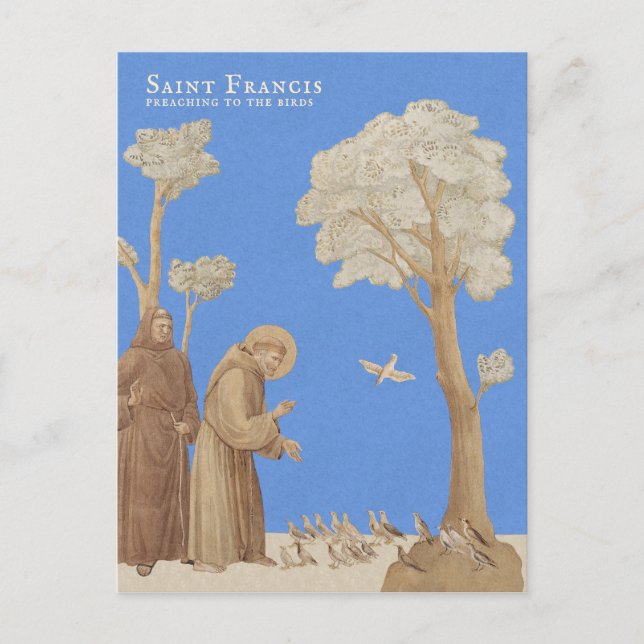 Saint Francis preaching to the birds CC1164 Postcard (Front)