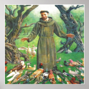 Saint Francis print