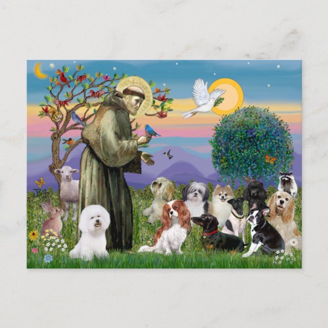 Saint Francis with 10 Dogs Postcard (Front)