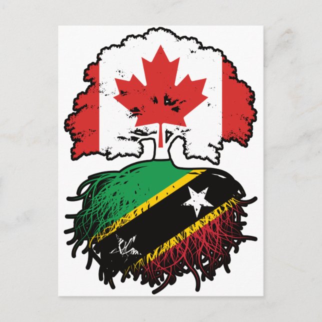 Saint Kitts Kittitian Canadian Canada Tree Roots Postcard (Front)