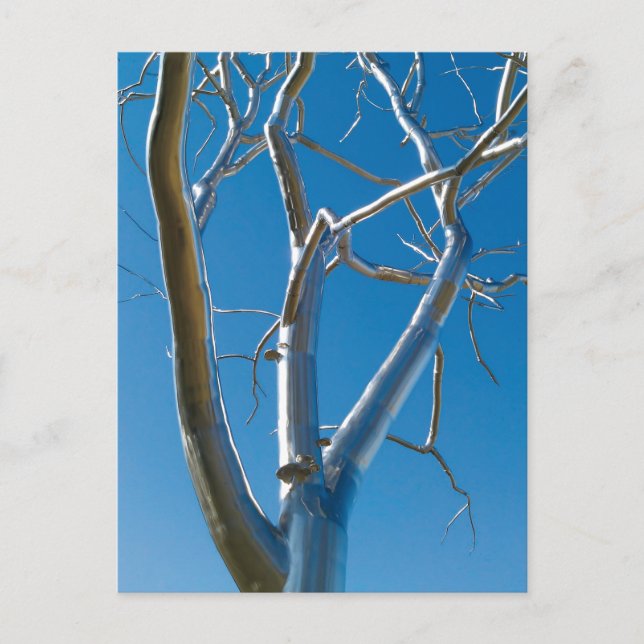 Saint Louis Art Museum Postcard (Front)