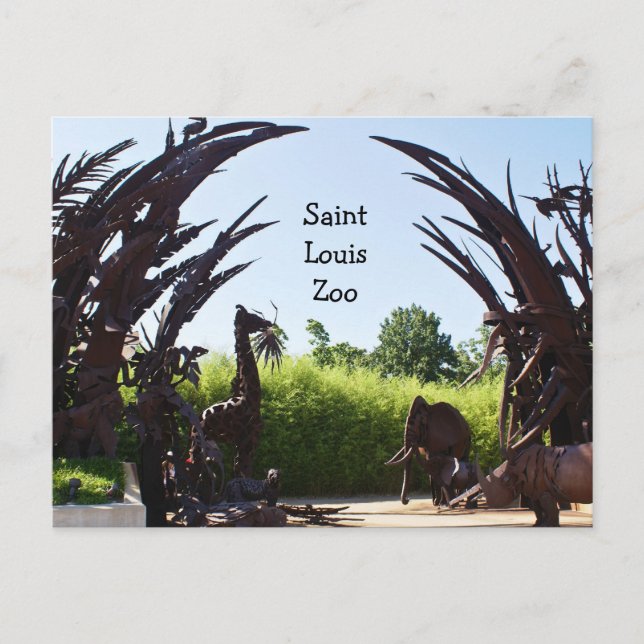 Saint Louis Zoo Postcard (Front)