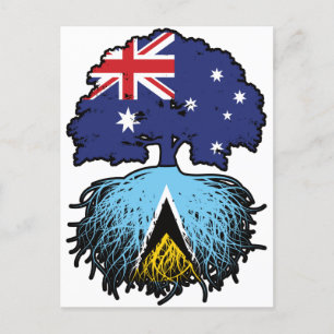 Saint Lucia Saint Lucian Australian Australia Tree Postcard