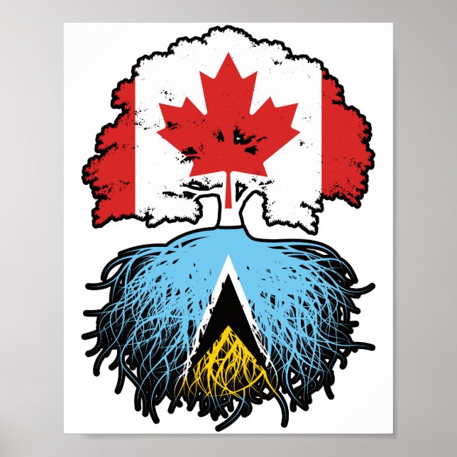 Saint Lucia Saint Lucian Canadian Canada Tree Root Poster (Front)